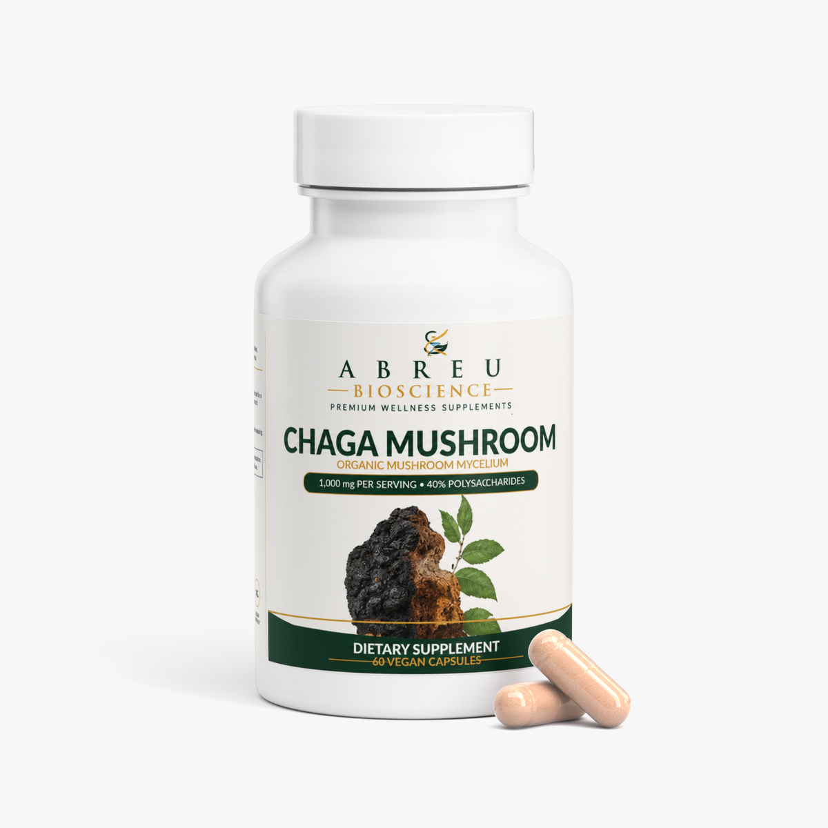 Chaga Mushroom
