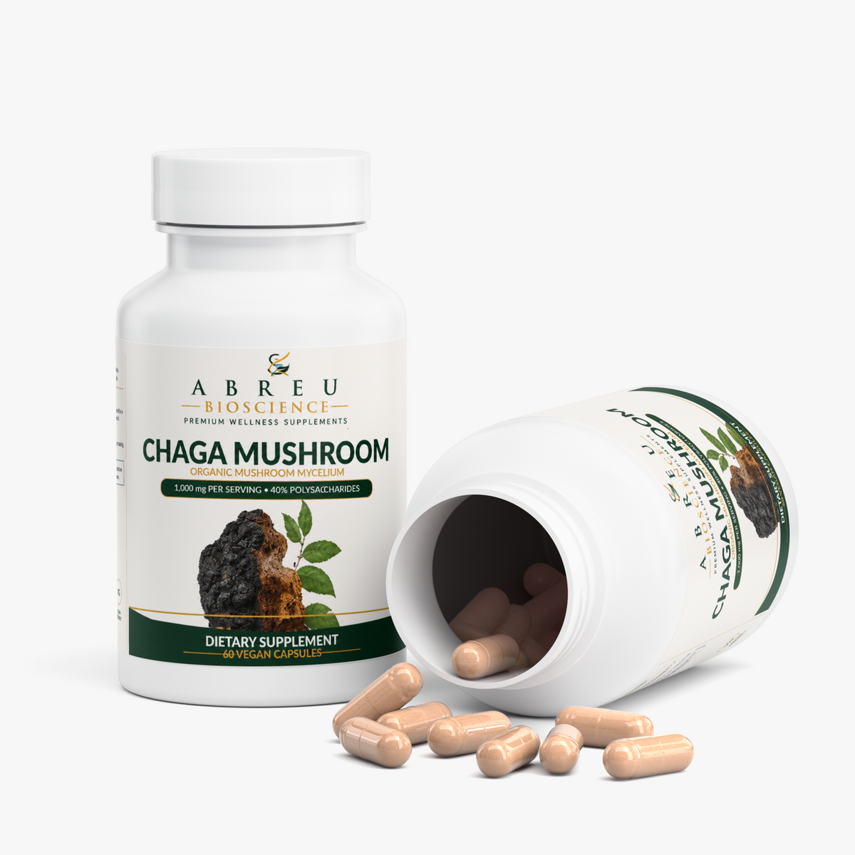 Chaga Mushroom